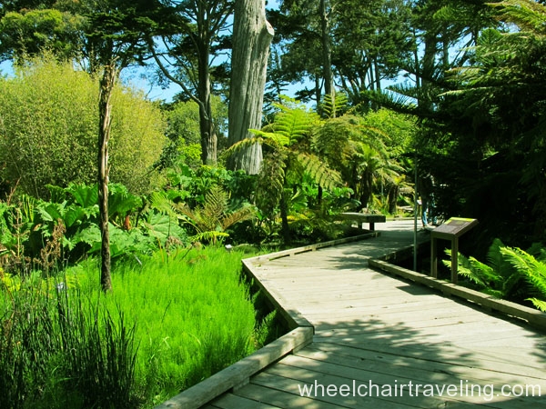 Sf Golden Gate Park Attractions Sites Trails