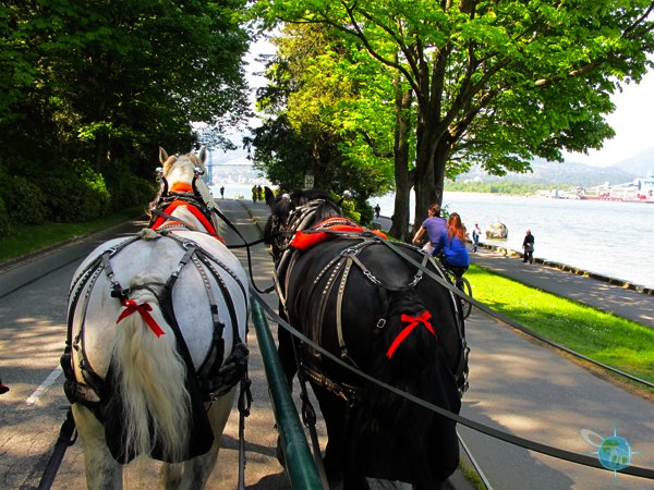 Stanley Park Carriage Ride