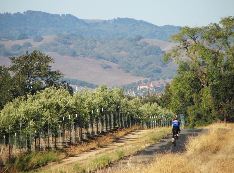 Livermore, California Wine Country