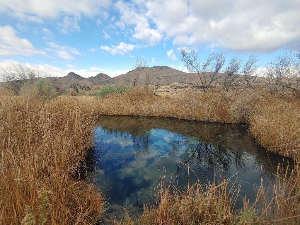 Nevada: Ash Meadows National Wildlife Refuge