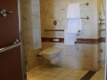 Stateroom Accessible Restroom