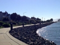 small_Rosie_f-looking_towards_from_marina_bay_park_by _Bonnie