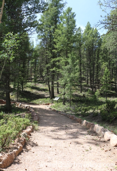13_Ponderosa Loop Trail