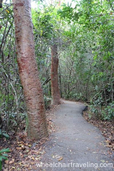 09_Gumbo-Limbo Trail