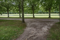 IMG_20210801_095743745_HDR