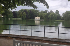 IMG_20210803_092442689_PORTRAIT