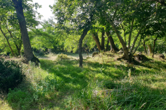 Les-hauteurs-de-la-Solle