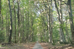 Vers-les-hauteurs-de-la-Solle