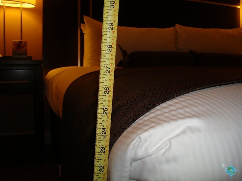 bed height