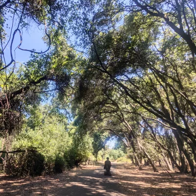 San Joaquin County, California – Wheelchair Travel Guide