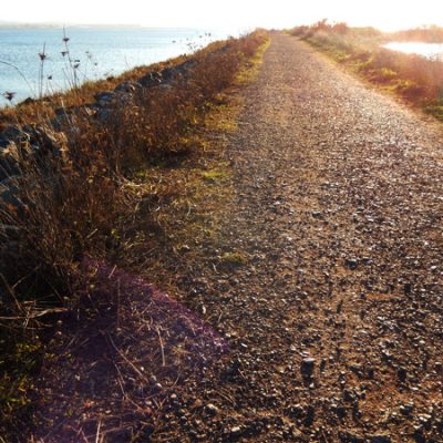 Arcata Marshland Trails, Northern California Coast