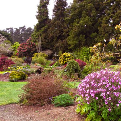 Mendocino Botanical Gardens, California Coast