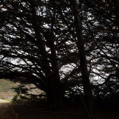 Fort Bragg, California: Pomo Bluffs Hiking