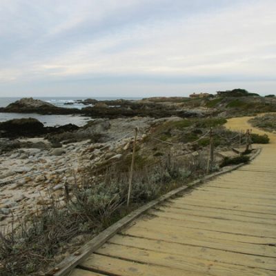Asilomar Beach Sand Dune + Conference Grounds