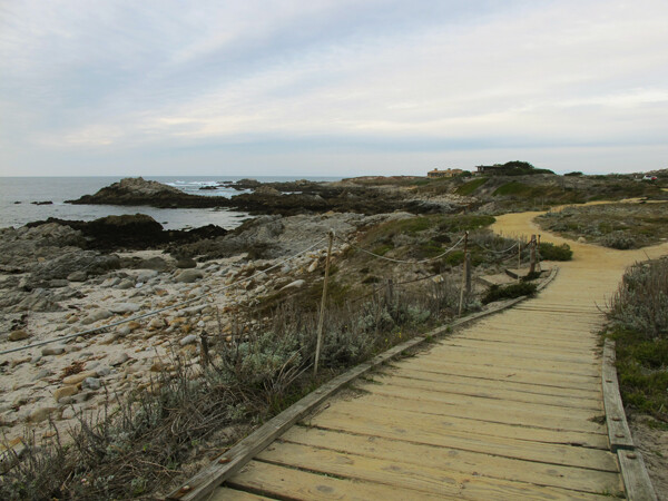 Asilomar State Beach, Conference Grounds and Sand Dune