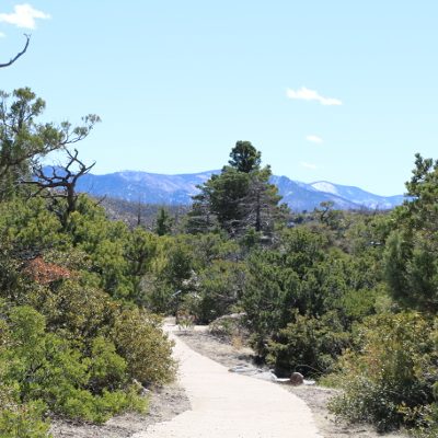 Chiricahua National Monument, Arizona