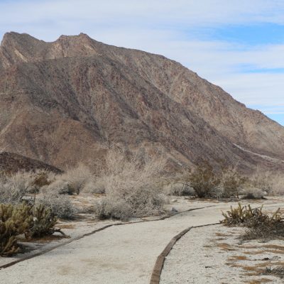 Anza-Borrego Desert State Park, California