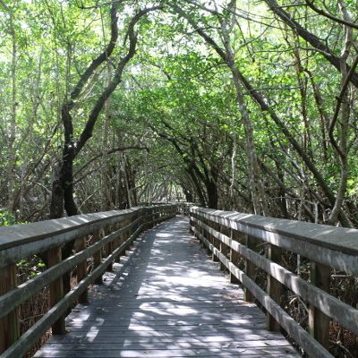 Florida Everglades National Park Access Guide