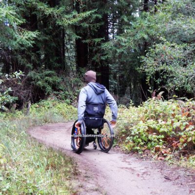 Nisene Marks State Park by Santa Cruz