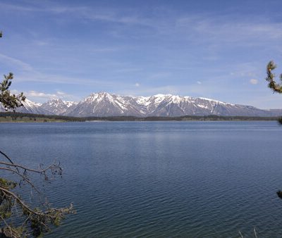 Yellowstone + Grand Teton National Park