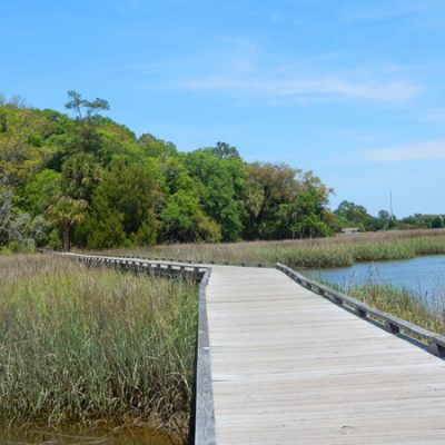 8 Savannah, Georgia Outdoor Attractions & Activities