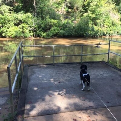 Dawsonville, Georgia Amicalola River Trail