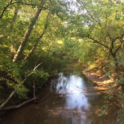 Cumming, Georgia: Windemere Park