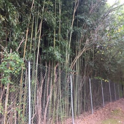 Cumming, Georgia: Sharon Springs Park