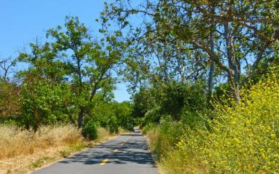 Coyote Creek Parkway: Santa Clara County, CA