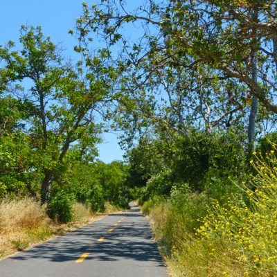 Santa Clara County, California: Coyote Creek Parkway
