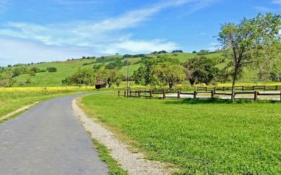 Martin Murphy Trail Access: Santa Clara County