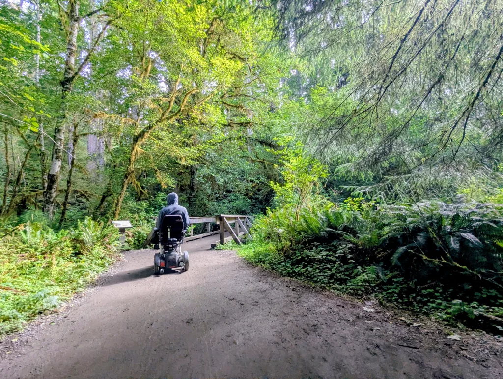 Olympic National Park, Washington Guide