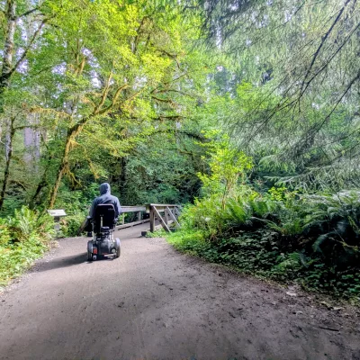 Olympic National Park, Washington Guide
