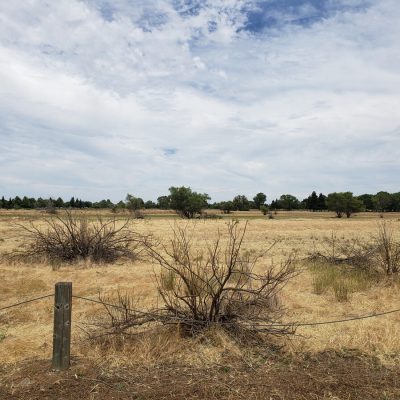 Elk Grove, CA: Laguna Creek Area Trails