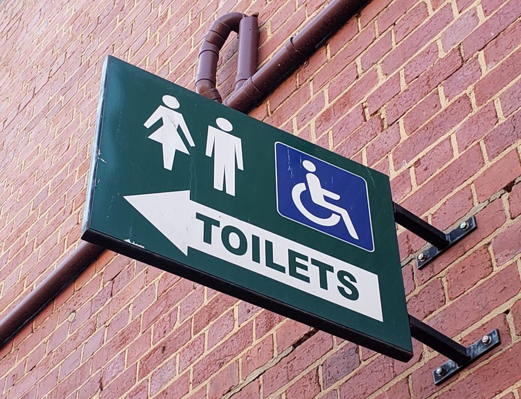 Europe Handicapped Toilets + Elevators