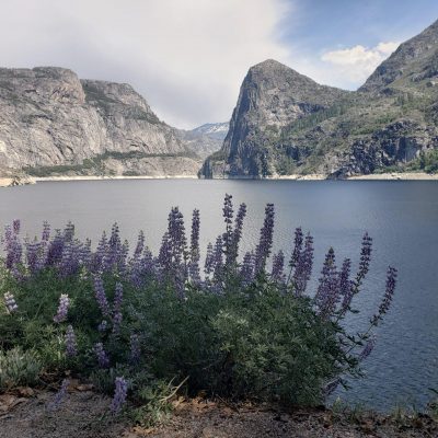 Yosemite Hetch Hetchy Park Tips