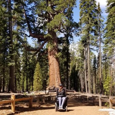 Mariposa Grove @ Yosemite NP