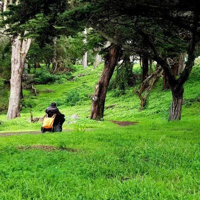 Nature Lovers + Wheelchair Hiking