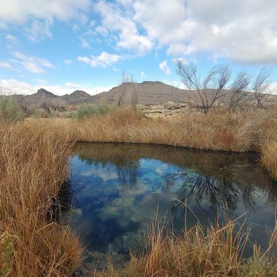 Nevada: Ash Meadows National Wildlife Refuge