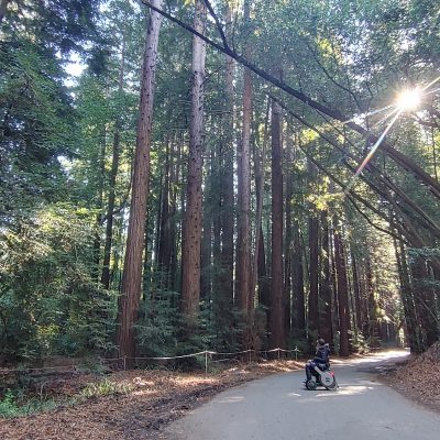 Pfeiffer Big Sur State Park, Julia Pfeiffer Burns State Park + Pfeiffer Beach