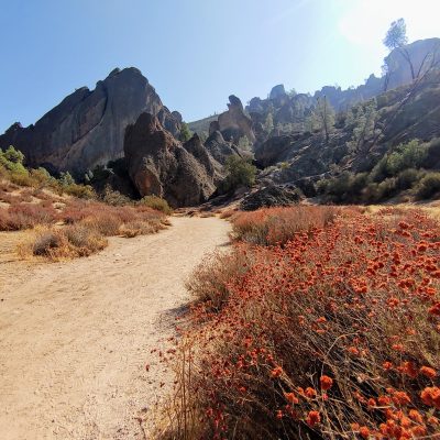 Pinnacles National Park, California