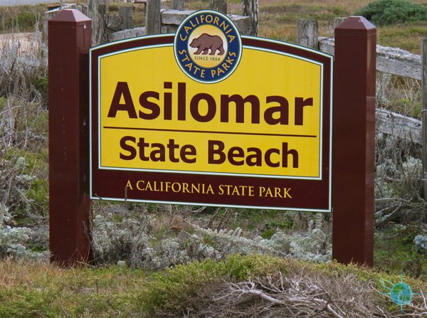 asilomar_state_beach