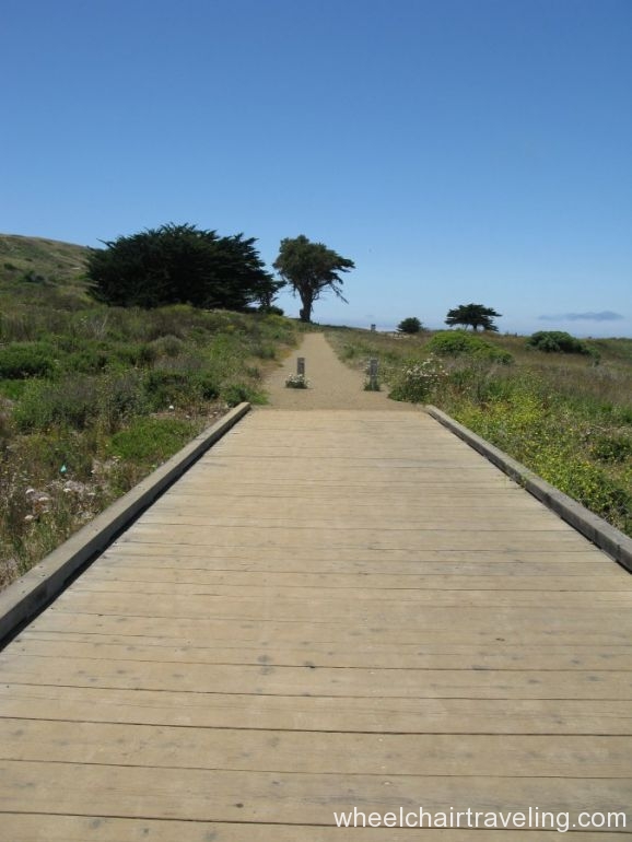 boardwalk-through-mori-pont-wetlands