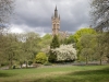 Glasgow University and Steeple Kelvingrove Park