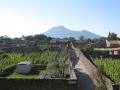 small_PompeiiStreet