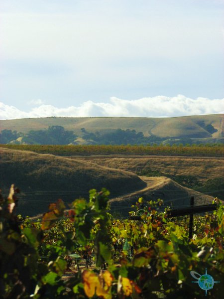 livermore_wine_country_23