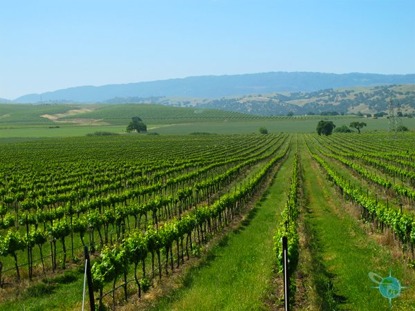 livermore_wine_country_24