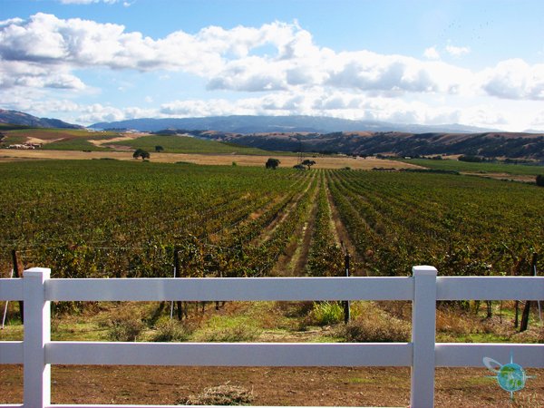 livermore_wine_country_26