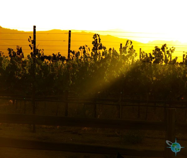 livermore_wine_country_8