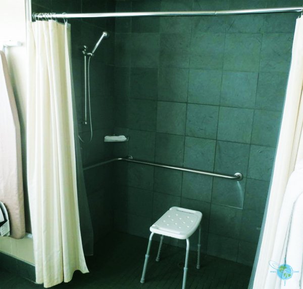 roll-in shower bathroom setup